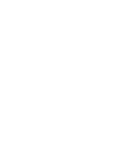 Volcom